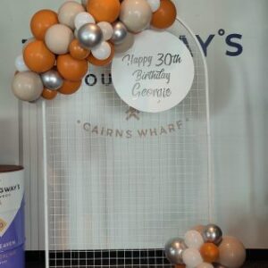 Arch mesh wall Hire