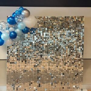 Silver Shimmer wall