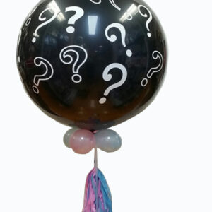 ? Baby gender reveal