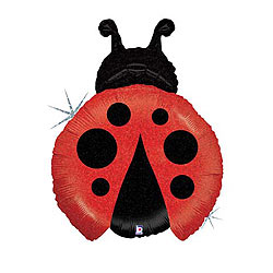Lady bug