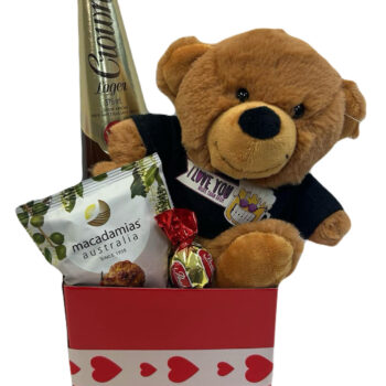 Valentine bear lover