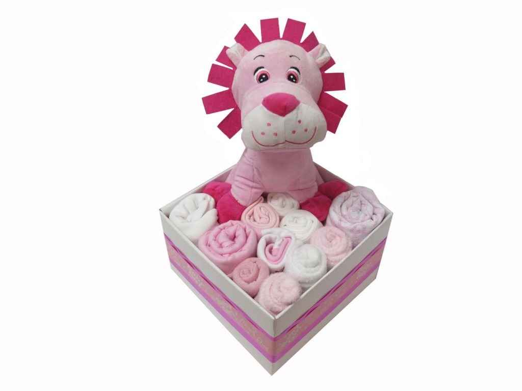 Baby buds Gift Basket Cairns